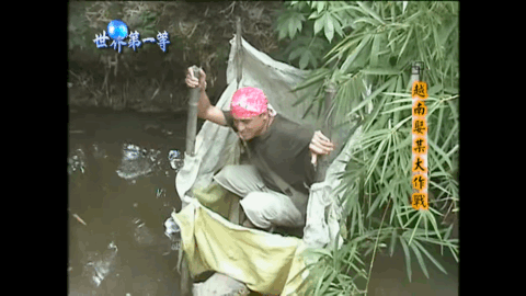 DSC00023.gif