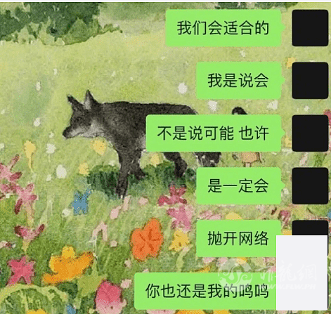 DSC0009.png