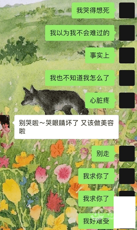 DSC00010.png