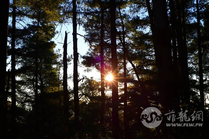 DSC0009.jpg
