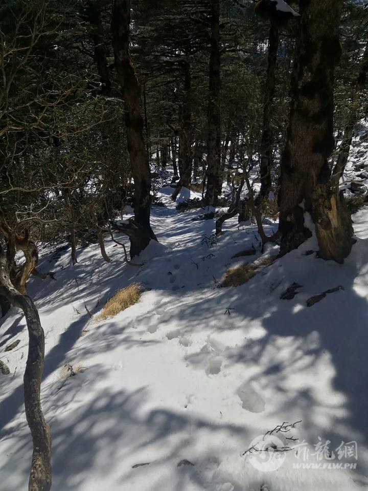 DSC00026.jpg