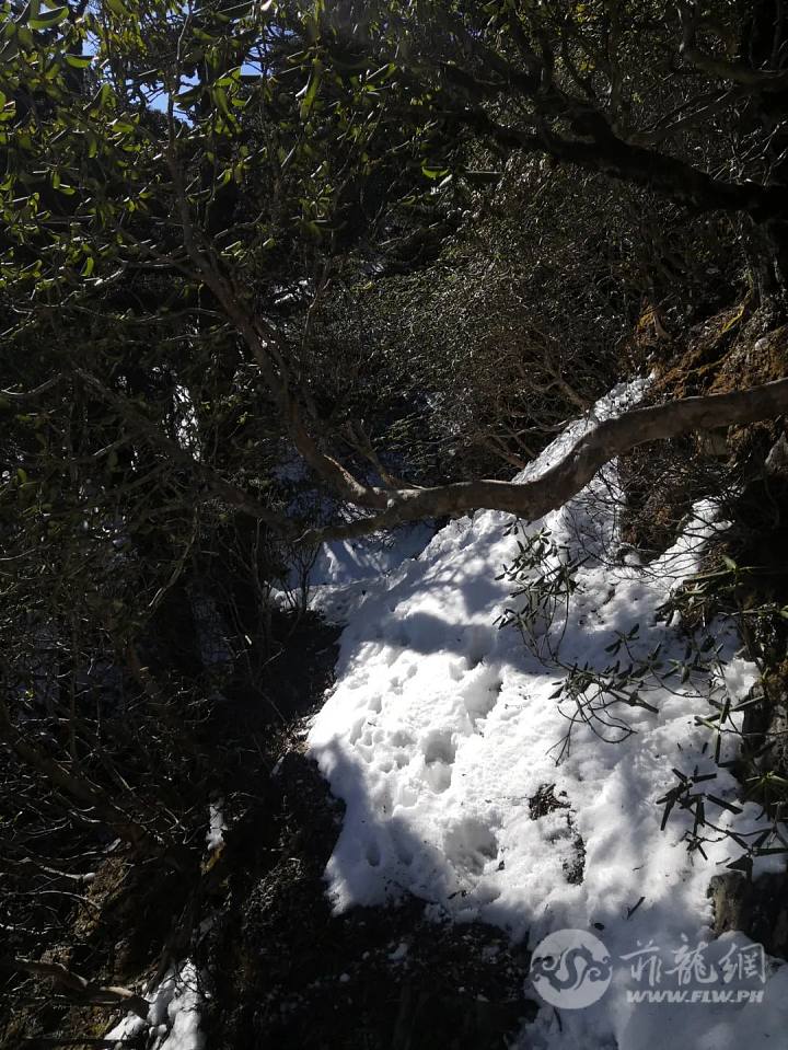DSC00028.jpg
