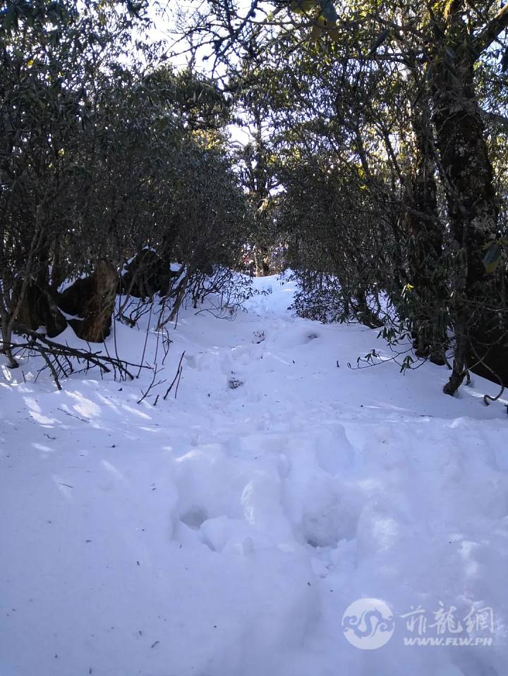 DSC00034.jpg