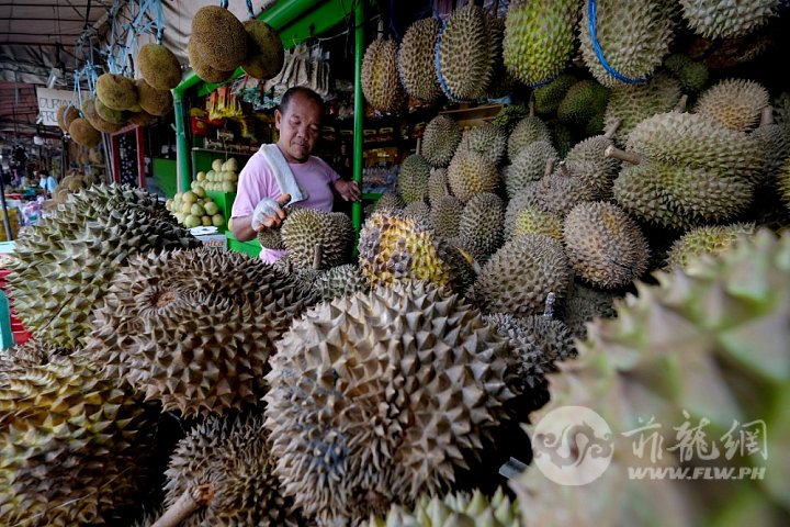 Cobilla-2-DURIAN-VENDOR.jpeg