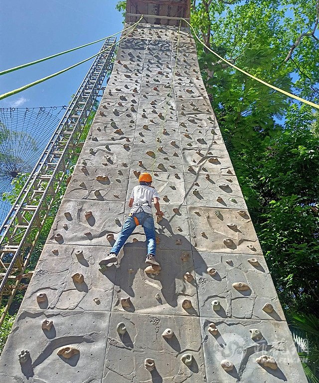 ht-wall-climbing-look-to-the-top-1683534169.jpg