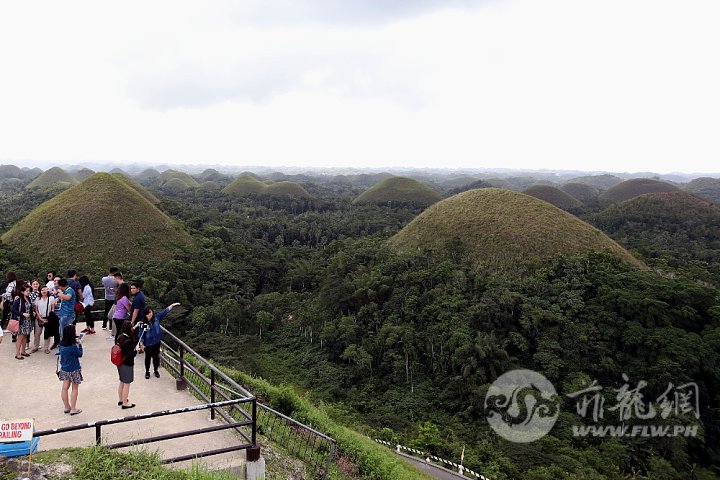 chocolate-hills.jpg