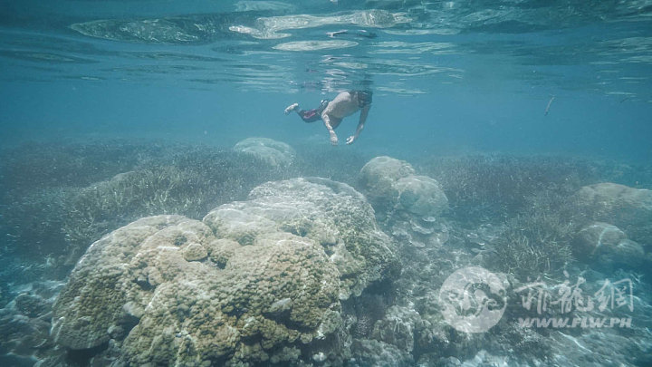 Snorkeling in Twin Reef, San Vicente, Palawan.jpg