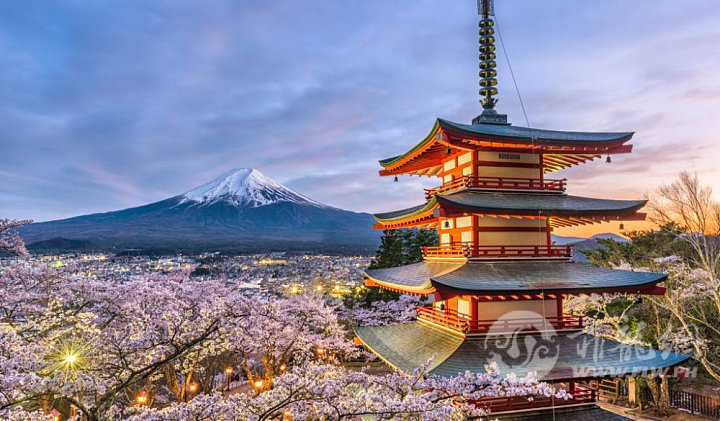 chureito-pagoda-fuji-GettyImages-901228728-1024x600.jpg