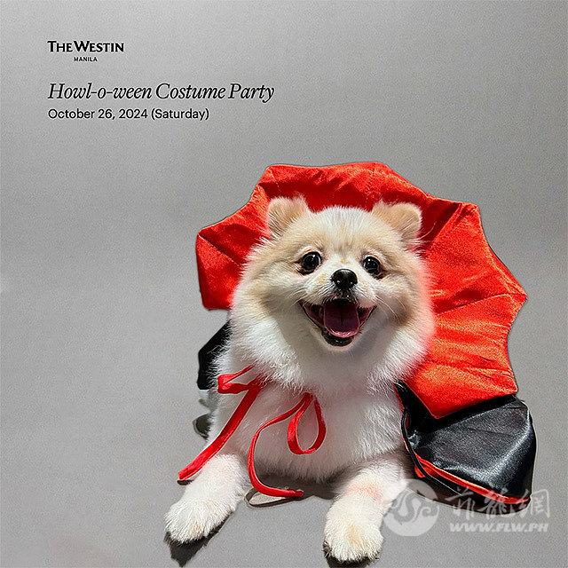 howl-o-ween-1728994857.jpg