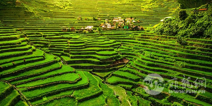 banaue.jpg