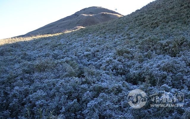 mt-pulag-frozen-grassland-c-1737969825.jpg