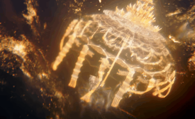 DSC0004.gif