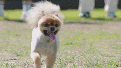 DSC00018.gif