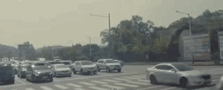 DSC0008.gif