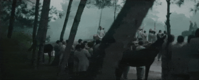 DSC0003.gif