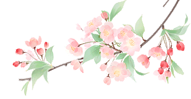 DSC0001.gif