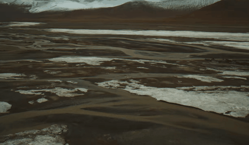 DSC0007.gif
