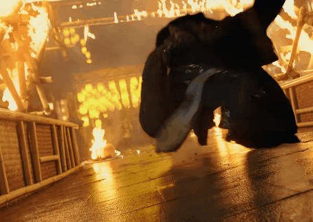 DSC0009.gif