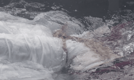 DSC0004.gif