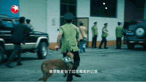 DSC0007.gif