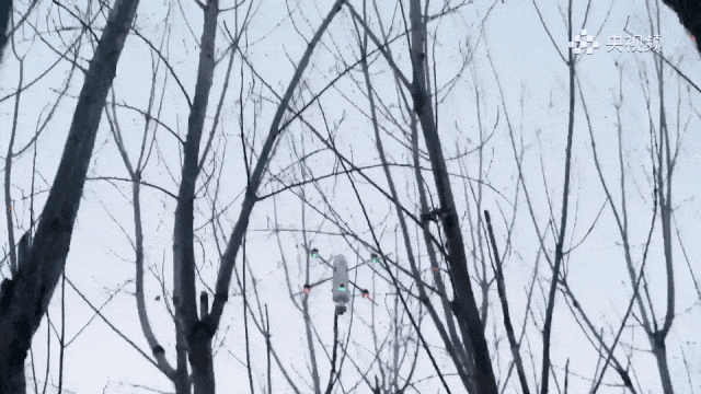 DSC0001.gif