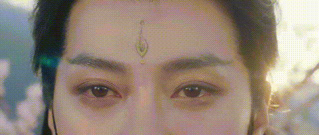 DSC0006.gif