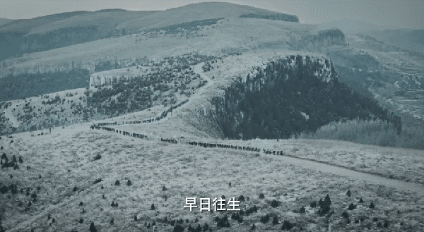 DSC0003.gif