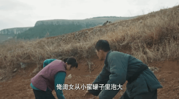 DSC00017.gif