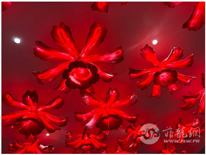 wechat_2025-08-19_175623_381.png