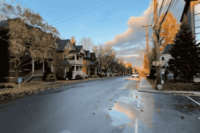DSC0001.gif