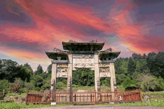 DSC00014.gif