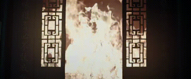 DSC0008.gif