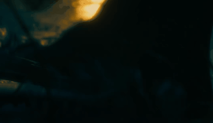 DSC0008.gif