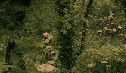 DSC0009.gif