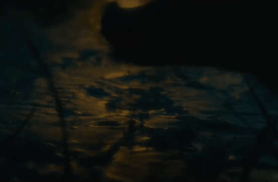 DSC0006.gif