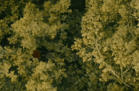 DSC0007.gif