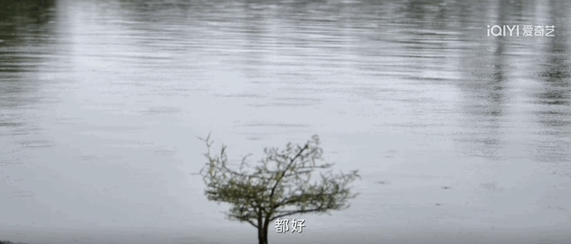 DSC00010.gif