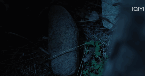 DSC00013.gif