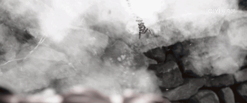 DSC0005.gif