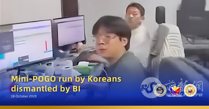 .jpg