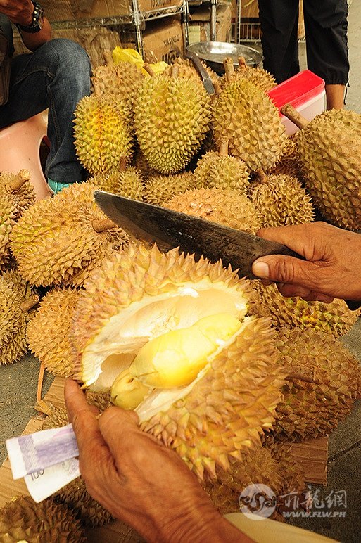 A1-DURIAN2.jpg