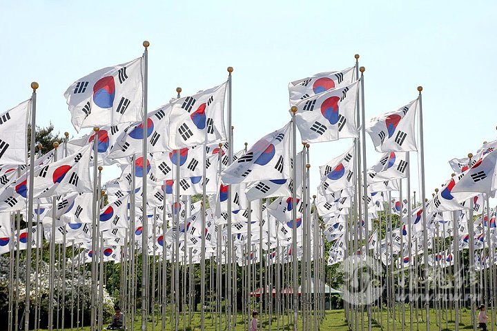 South-Korea-flags.jpg