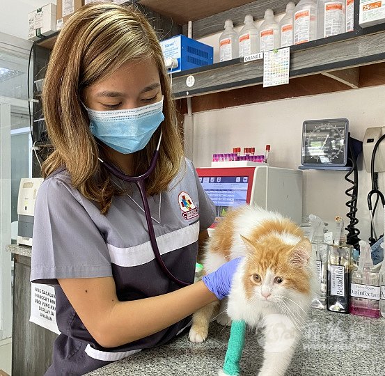 动物医院7 (2).png