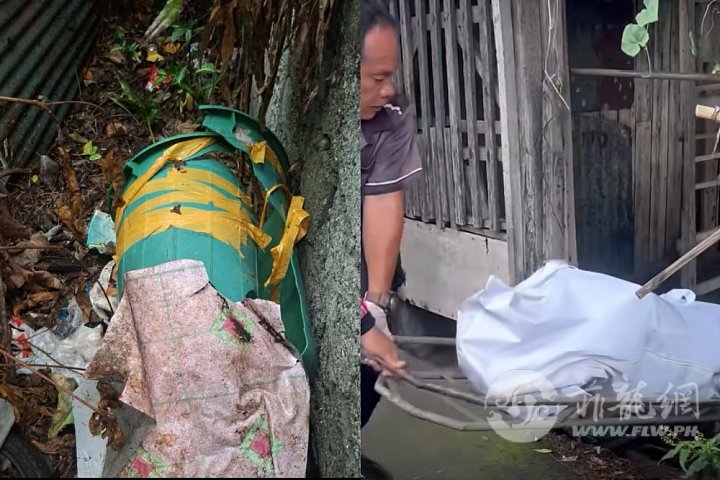 微信图片_20260512145118_86_354.jpg