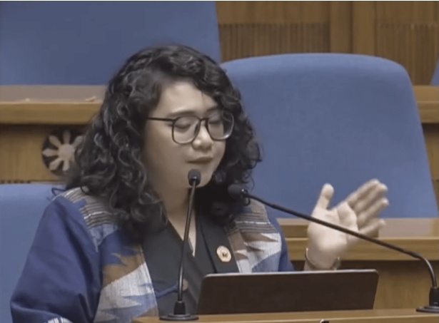 治假新闻还是堵嘴？菲新禁言法案争议不断