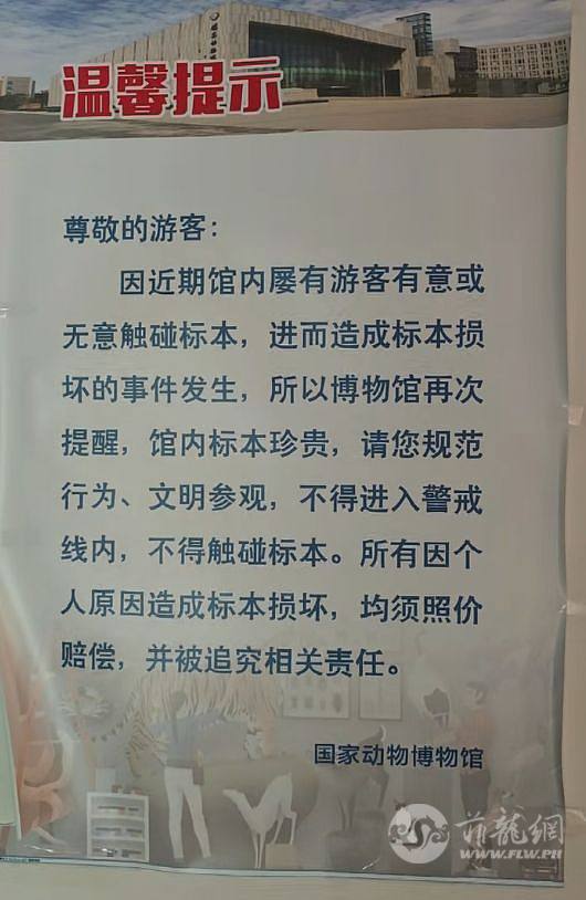 DSC0004.jpg